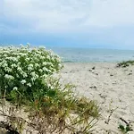 招待所 Solaria House Mamaia 3*