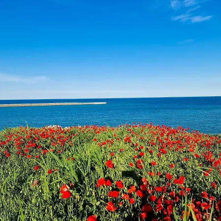 Solaria House Mamaia 3*