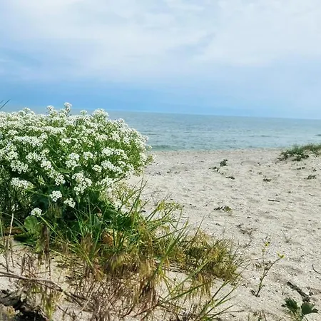 Pensjonat Solaria House Mamaia 3*