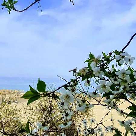 Pensjonat Solaria House Mamaia 3*