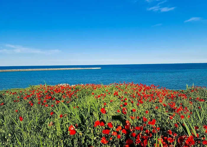 Solaria House Mamaia 3*