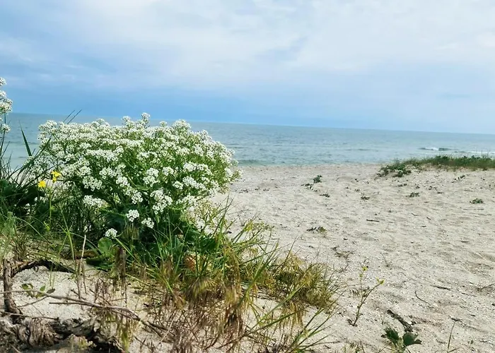 Gasthuis Solaria House Mamaia 3*