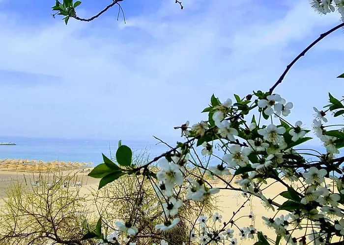 Gasthuis Solaria House Mamaia 3*