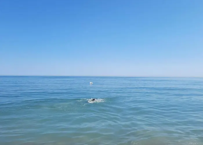 Gasthuis Solaria House Mamaia Năvodari